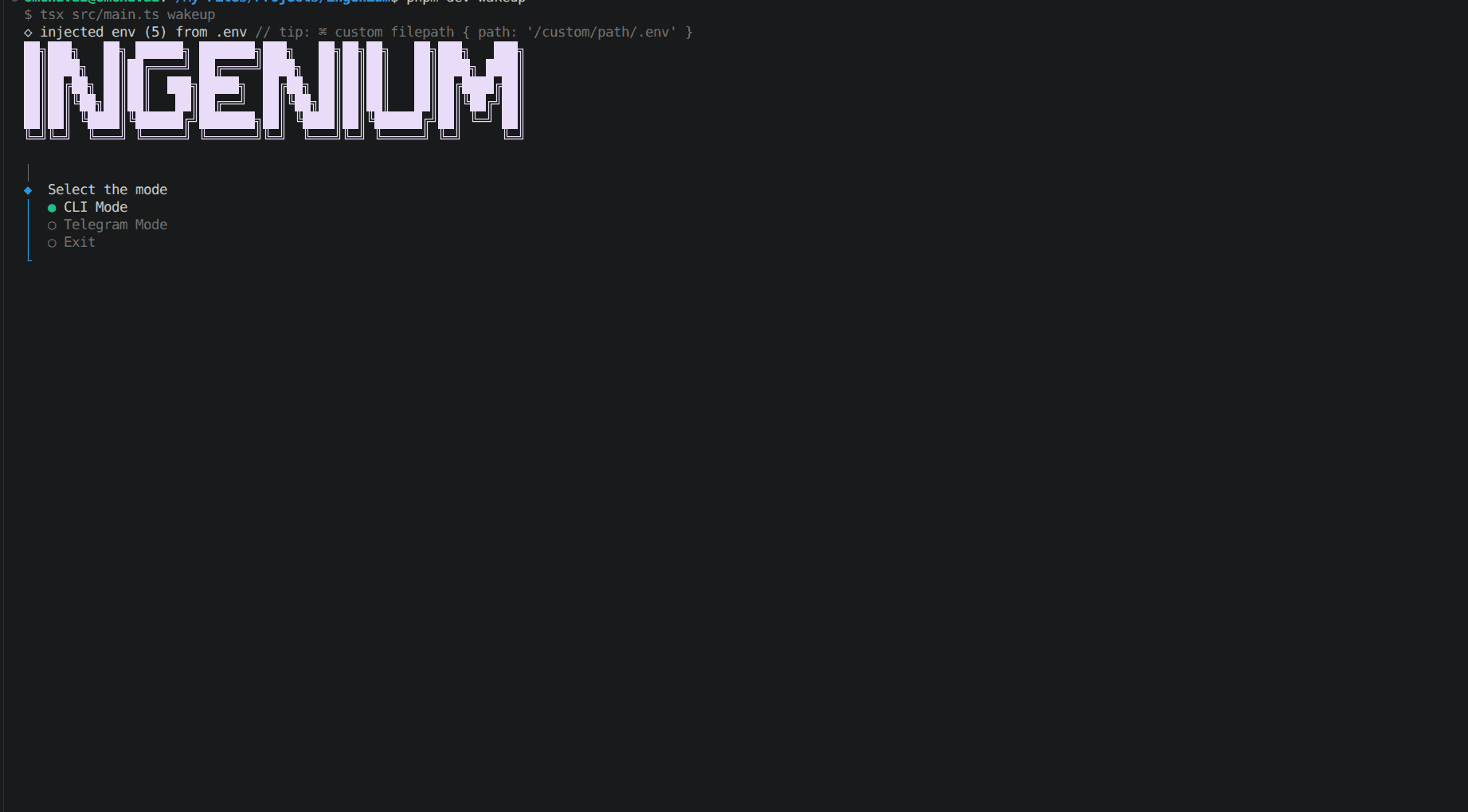 Project screenshot